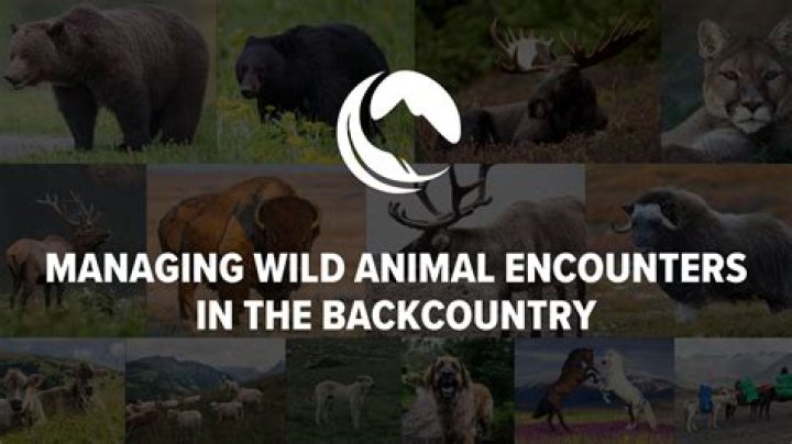 Animal Encounters In The Naked And Afraid