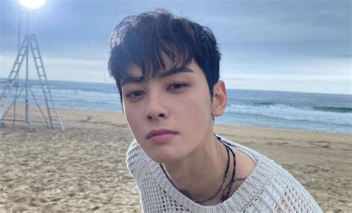 Cha Eun Woo's Love Life In 2024: Dating Rumors Uncovered