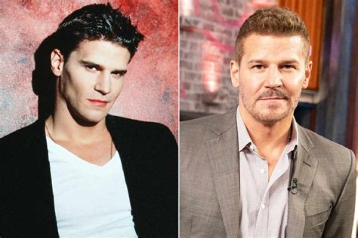 David Boreanaz In His Youth: A Look At His Early Career And Rise To Fame