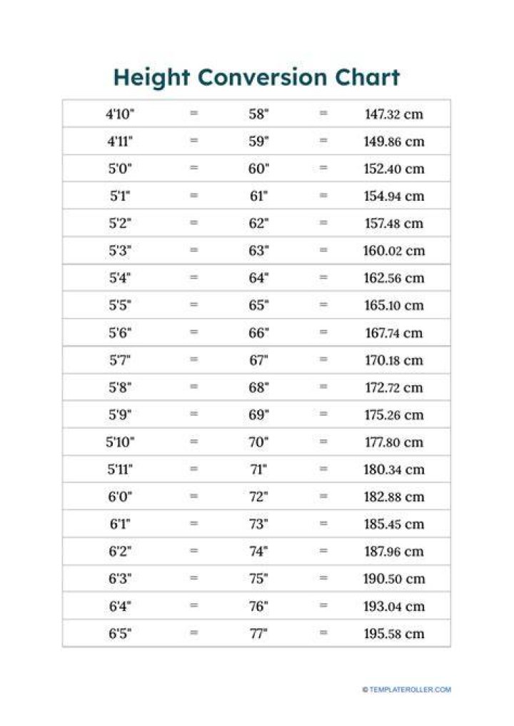 What Height Were The Beatles? The Complete Guide To Their Statures In Feet And Inches